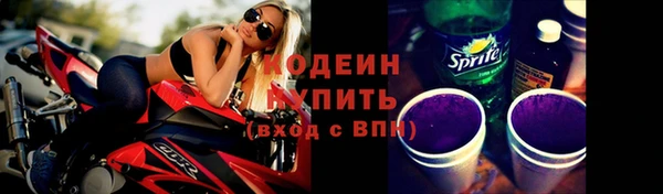 хмурый Михайловск