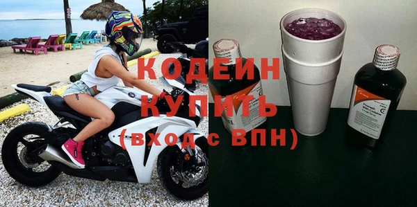 хмурый Михайловск