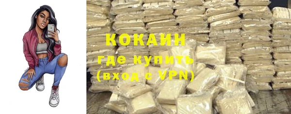 хмурый Михайловск